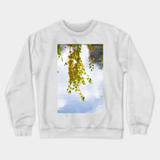 Birch Branch In Autumn Garden Crewneck Sweatshirt